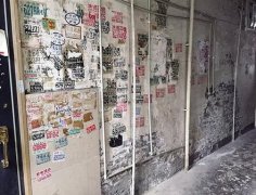小区无人管随意进出 楼道长满“牛皮癣”