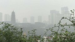 雨雾笼罩气温降低 全城一片雾蒙蒙
