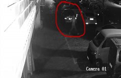 车主乱停车电话也打不通 他抄起板砖就砸车