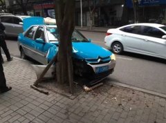 出租车撞上行道树 右车头都撞碎了
