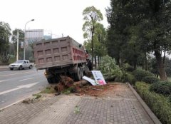 这辆货车有点“凶” 直接开上人行道