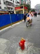 白发大爷寒冬穿夏装  踩单车清凉上街