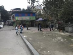 危险！小学生放学后成群挑逗恶犬