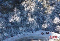 金佛山银装素裹 雪景美如画