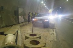大肥猪在高速路上奔跑 竟有两位“失主”来领