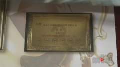 重庆这家公司骗市民2600万 业务员：我想撞死