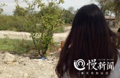 被大象踩踏致死的领队遗体火化 家属明日回渝