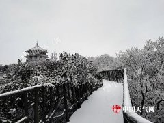 重庆金佛山遭遇今年首场大雪 部分地区出现冻雨
