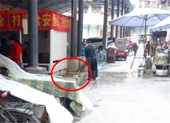 男子当街杀狗 方式特别