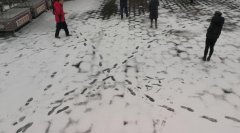 今起至8日重庆降温降雨雪持续  缙云山歌乐山有望降雪