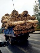 货车装载木料飞奔在路上 层层叠叠吓坏市民