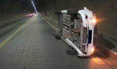 大肥猪意外掉落高速路 撞两车致车翻猪亡
