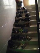 公共楼梯变私人鞋柜   摆满多双鞋子