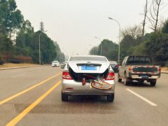 轿车后备箱塞进半个共享单车 目击者：摇摇欲坠很危险