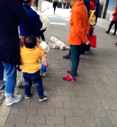 男子将走失的宠物狗 拴在路边贩卖