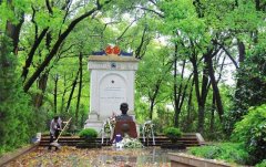 风雨守墓人！他在这个位置站了半个世纪