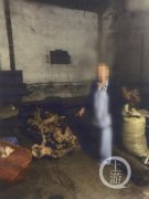 “艺术痴”深夜挖走景观树做根雕被抓 万万没想到这棵树这么贵