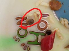 食堂就餐 发现饭菜中竟含有蜗牛