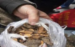 去年清明节买的药  今年清明节来退