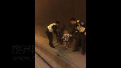 惊险！两“熊孩子”贪玩 夜间结伴闯高速