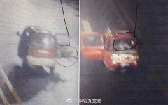 男子挖走7万元景观树做根雕 被抓交代：“我控制不住我自己”