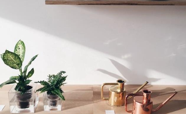 1523503538775855.jpg 641 (2).jpg