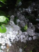 綦江昨夜今晨暴雨  冰雹如“汤圆”大小