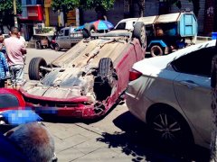 私家车撞树后四脚朝天   树被连根拔起