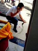 厉害了我的哥！男子边打电话边擒蛇