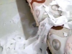 宠物狗如同“破坏王”  家中被搞得凌乱不堪