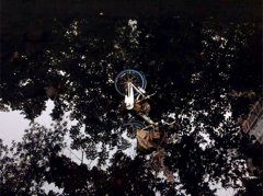 桥下水中现共享单车 被枯枝败叶缠绕