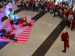 男子身着“布朗熊”求婚   目击者：不愧是别人家的男友