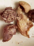 活鸭宰杀煮熟后 体内漂出数条虫