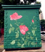 市民街头撞见“炫彩电箱” 又惊又喜很意外