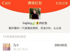 女子网上买猫被套路 订金没了还被卖主拉黑