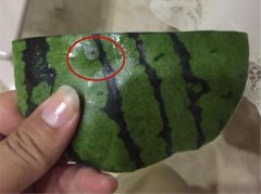 水果摊上买的西瓜有“针孔”  食客不敢轻易食用