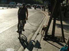 男子骑车晨练边遛狗 市民：有趣又温馨